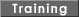 Web and Windows Usability Training
